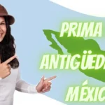 articulo-162-ley-federal-del-trabajo