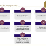 el-procedimiento-electoral-derecho-constitucional