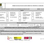 formato-accion-de