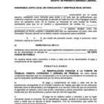 formato-de-demanda