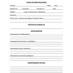 formato-de-historia