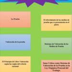 la-premisa-menor-decision-de-evidencia