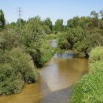 la-servidumbre-en-materia-de-agua