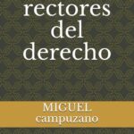 principios-rectores-del