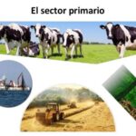 sector-primario-en