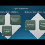 tipos-de-endoso
